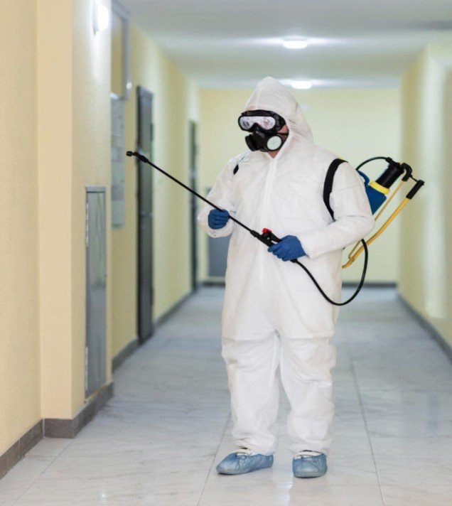 Trusted Pest Control Experts in Bihar, Jharkhand & Bengal