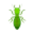 pest